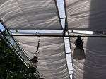 Premium waterproof retractable sail made to measure installed under a transparent roof with two hanging lamps.