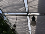 Vela de jardim impermeável e extensível 3x3 branca a cobrir um terraço com lanternas penduradas.